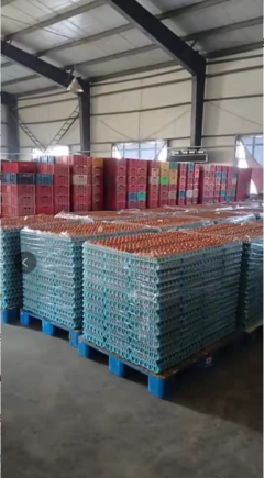 德惠市鴻德商貿 春節前后蛋價弱勢分析，3月份有望回暖