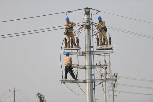 線路避雷器 基本原理、關(guān)鍵技術(shù)要求與電力工程應(yīng)用詳解